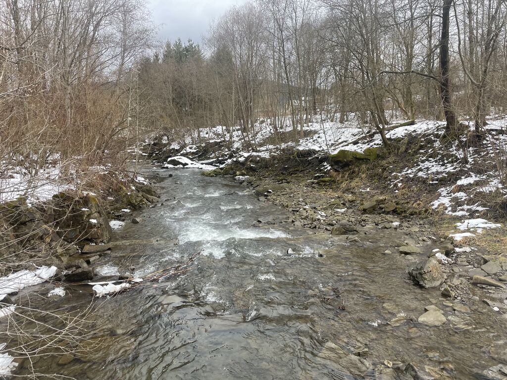 IMG 7892