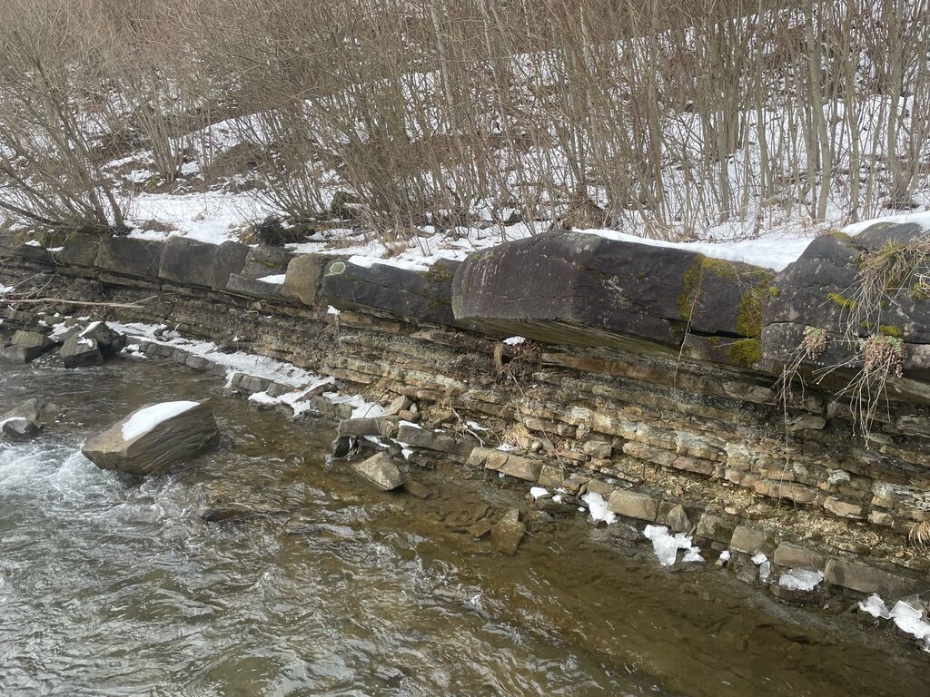 IMG 7892