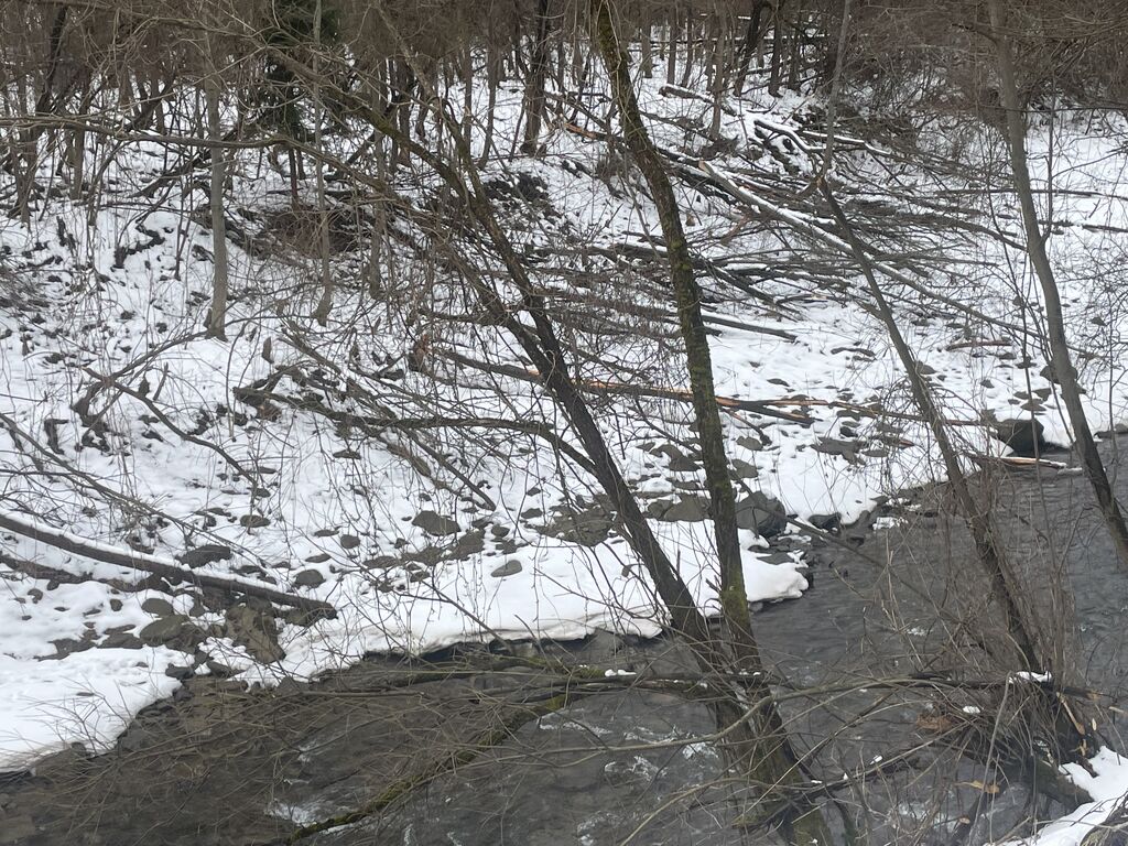 IMG 7892