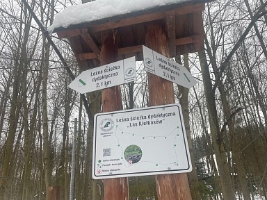 Ścieżka edukacyjna 