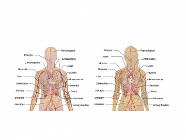 To był pierwszy znak, że nerki Barbary szwankują