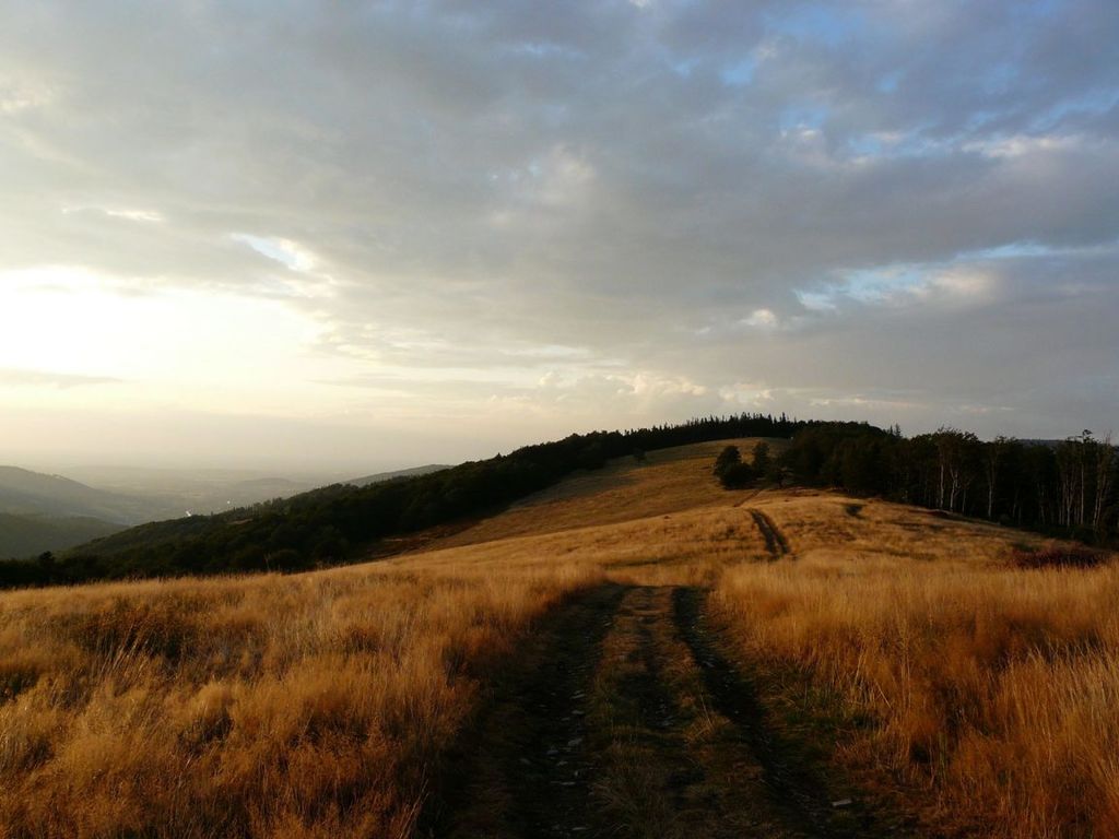 Hala Jaworowa 1152x864